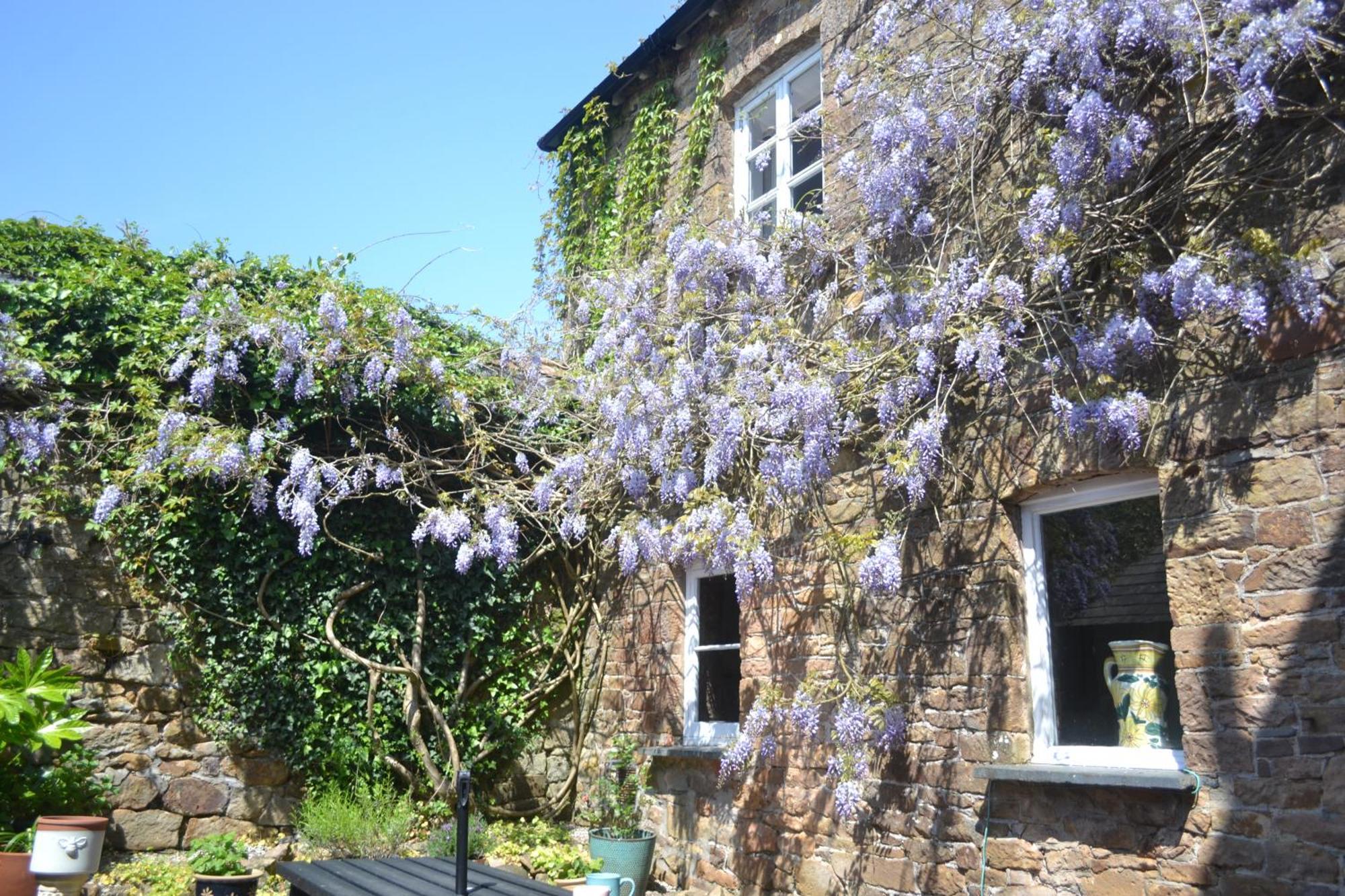 فيلا The Old Police Station Hatherleigh المظهر الخارجي الصورة